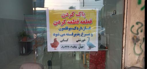 عکس مرغ فروشی جهان 