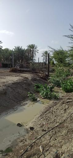 عکس حسین بازار