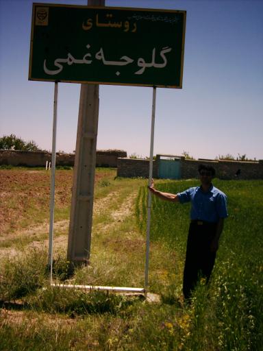 عکس گلوجه غمی