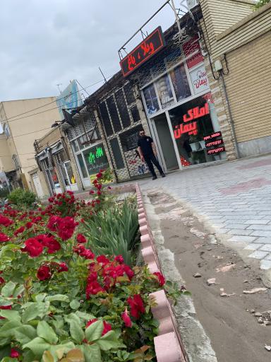 عکس مشاور املاک پیمان