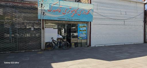 عکس گلدوزی قاصدک