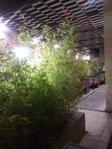 عکس هتل رامیلا