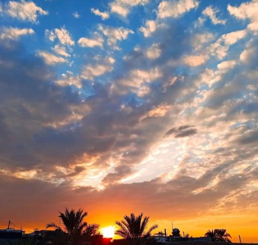 عکس یریسیه