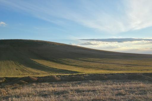 گلوجه غمی