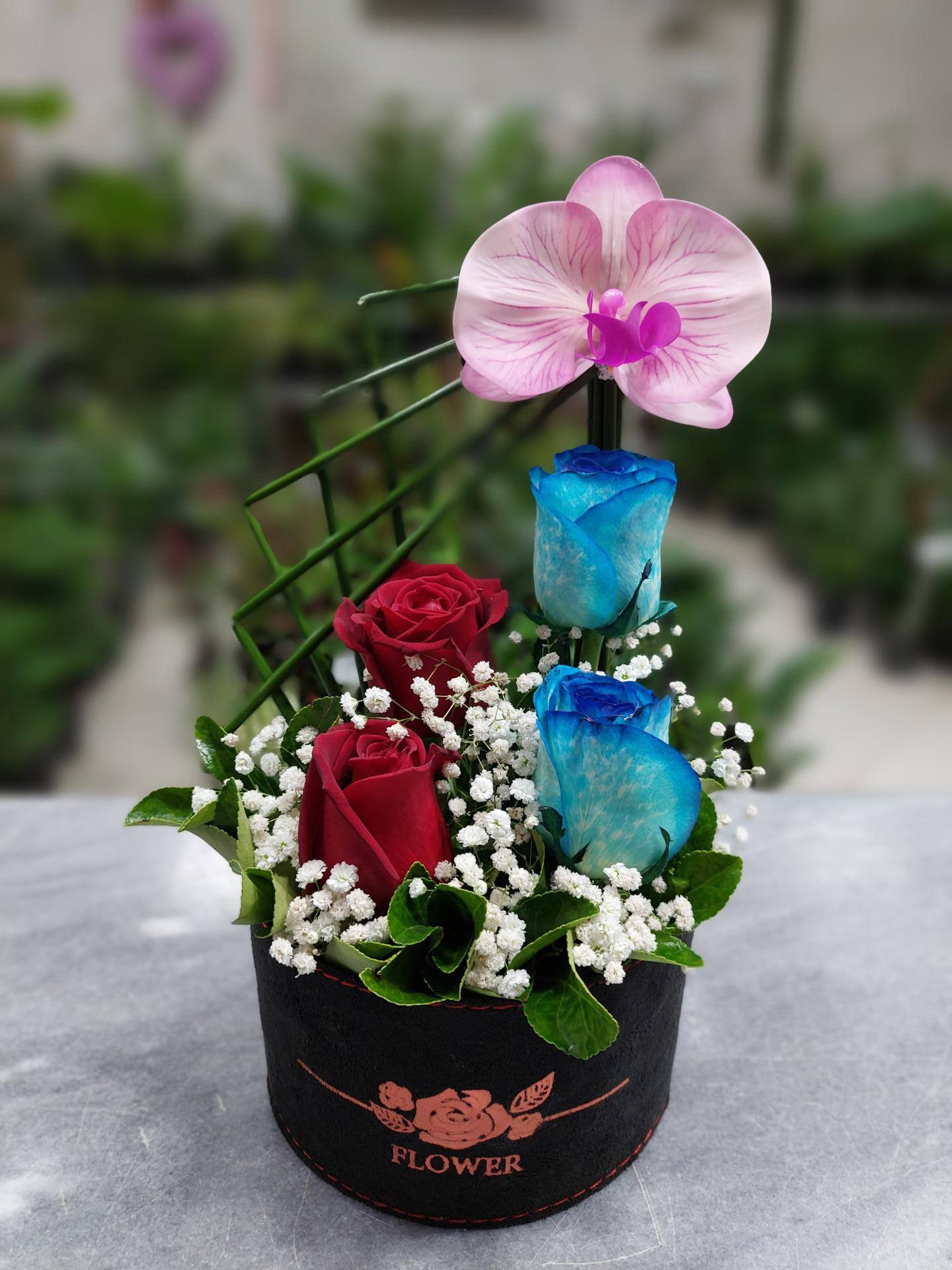 عکس گل فروشی  پالیز گل