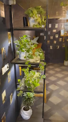 عکس کافه دنج