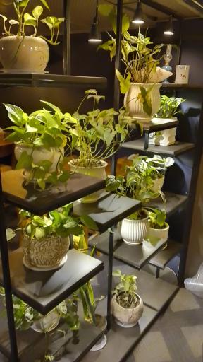 عکس کافه دنج