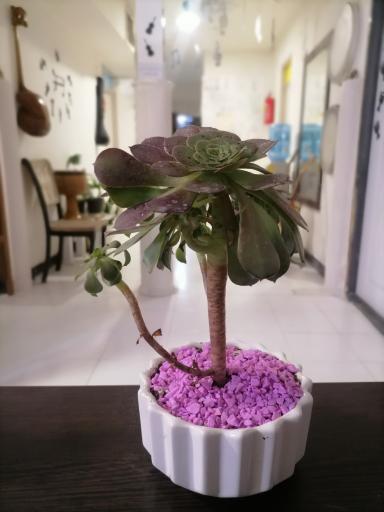 عکس آموزشگاه موسیقی ریتم