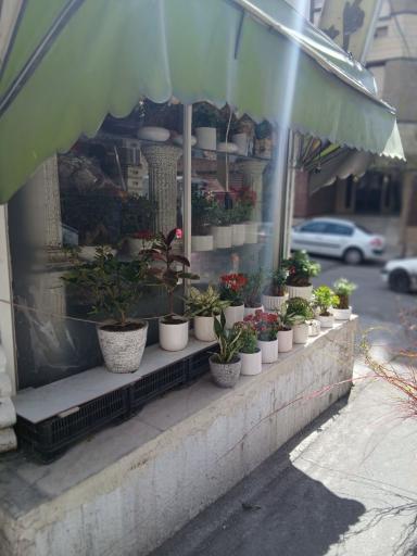 عکس کیوسک گل فروشی