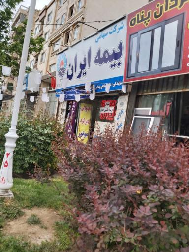 عکس بیمه ایران وحید اسماعیلی 
