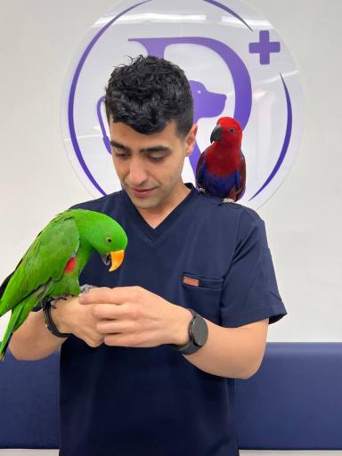 عکس کلینیک دامپزشکی پونک پلاس