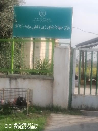 عکس مرکز جهاد کشاورزی باغلی مرامه (کاکا)