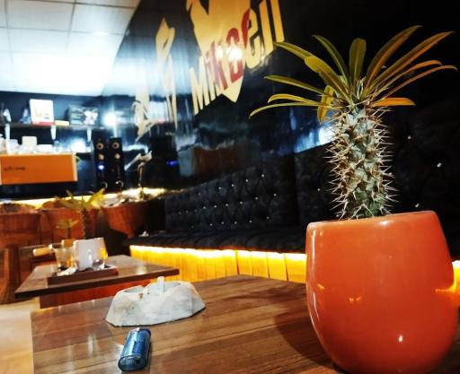 عکس کافه میکائیل