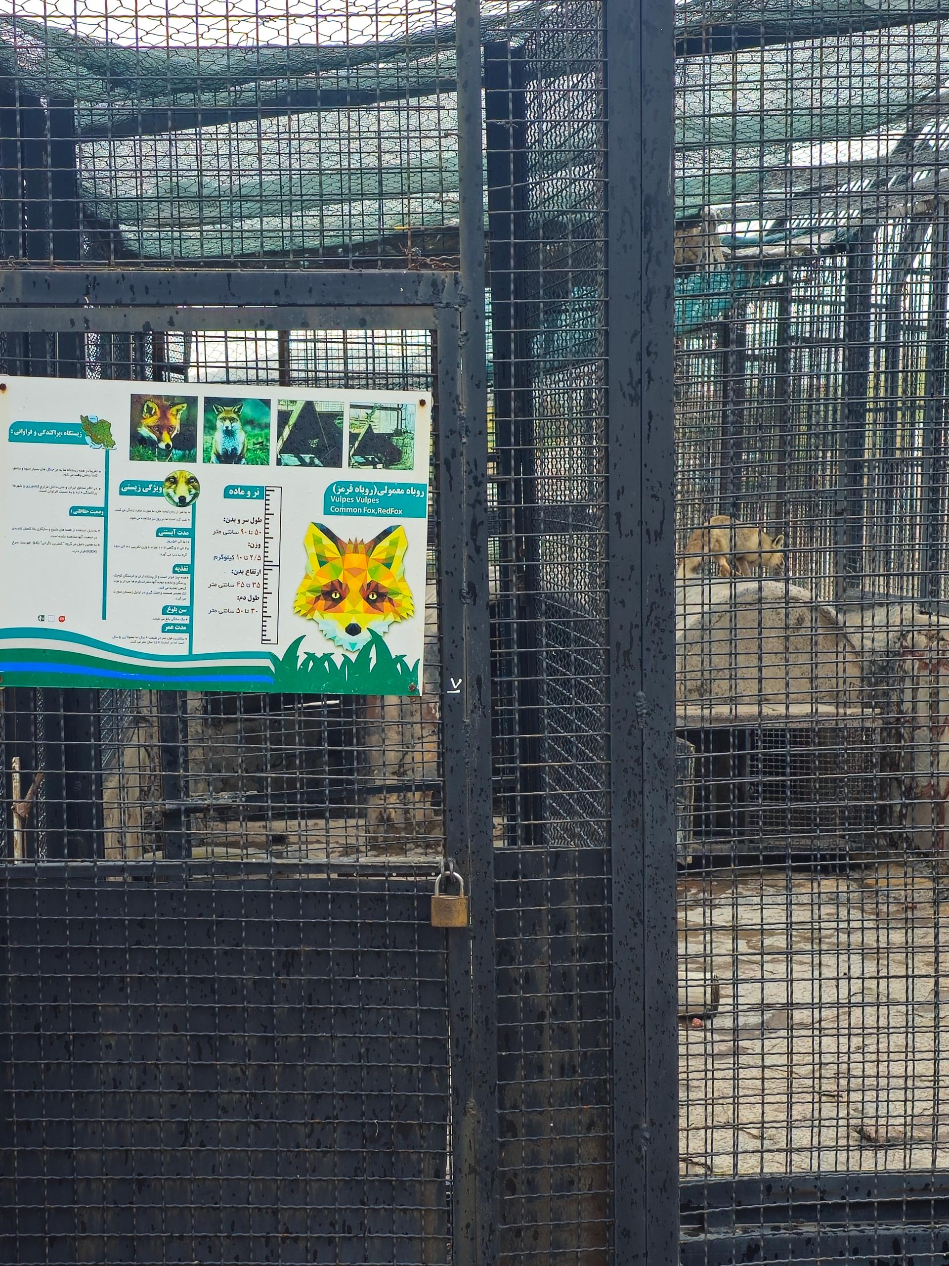 عکس پارک حیات وحش