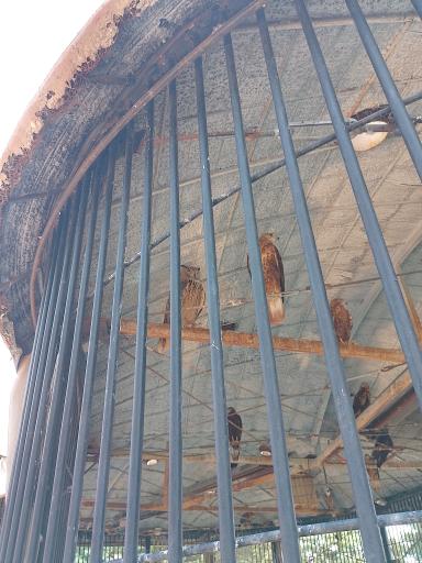 عکس پارک حیات وحش