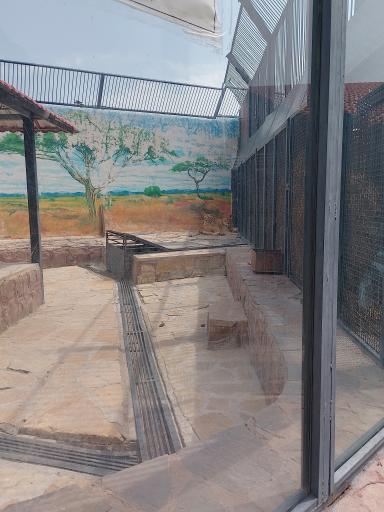 عکس پارک حیات وحش