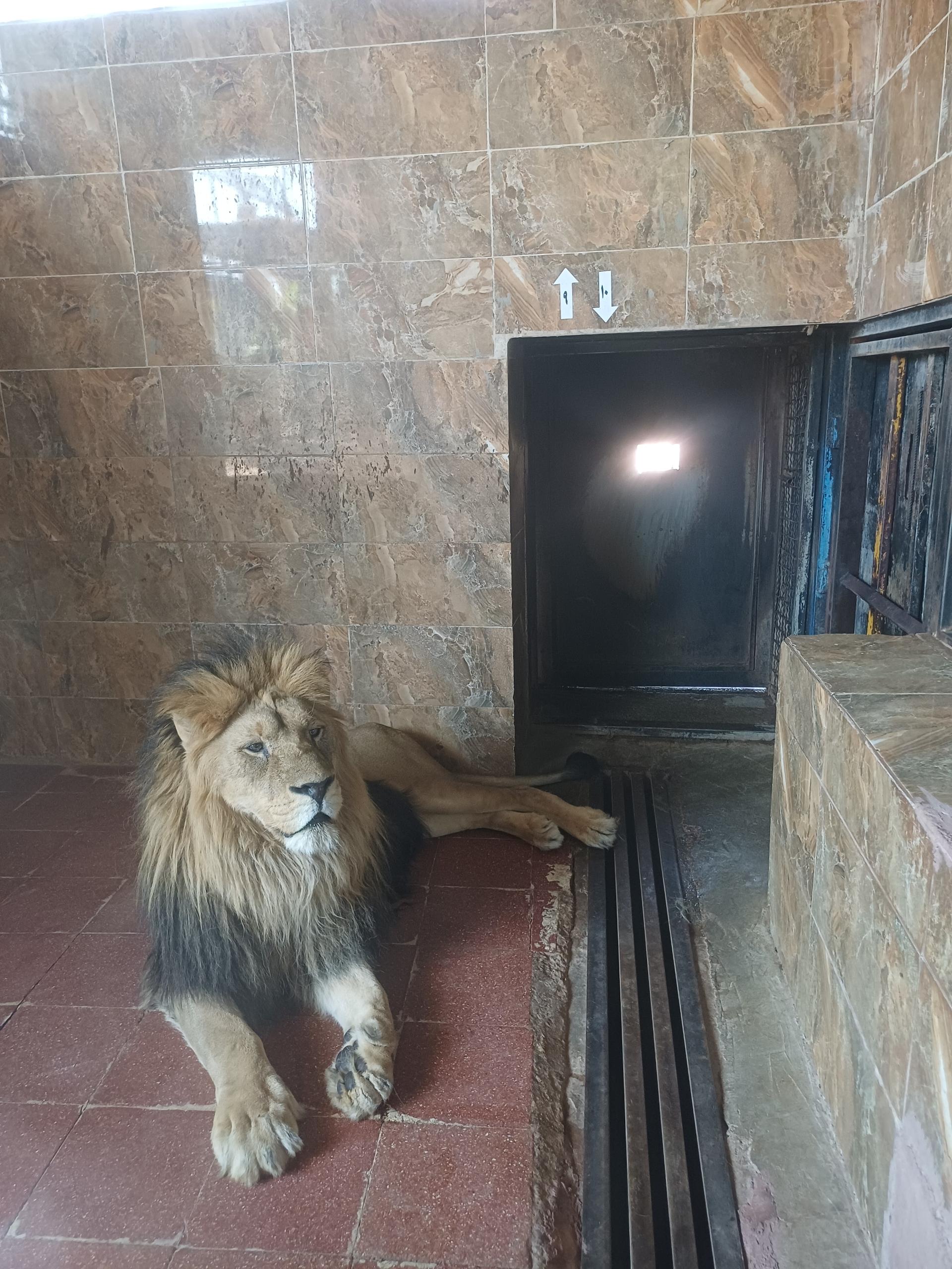 عکس پارک حیات وحش