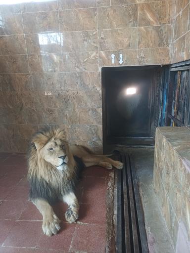 عکس پارک حیات وحش