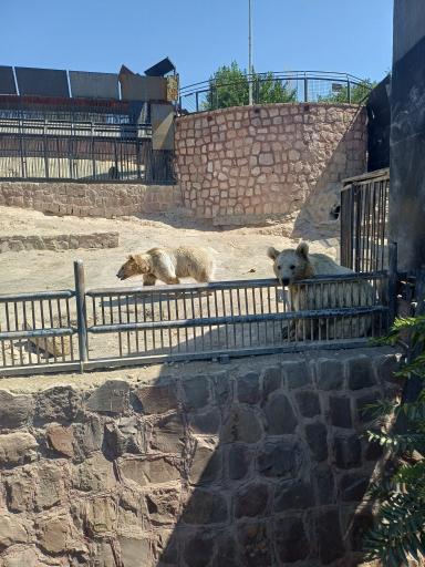 عکس پارک حیات وحش