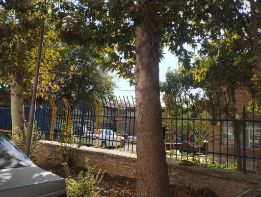 عکس شرکت پادزانیج