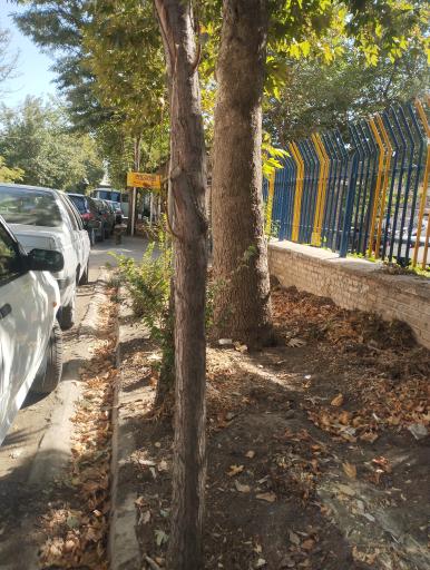 عکس شرکت پادزانیج