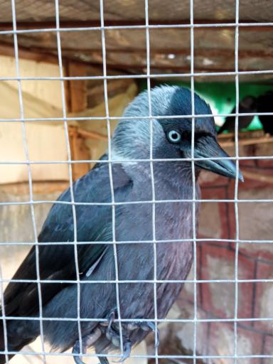 عکس پارک حیات وحش