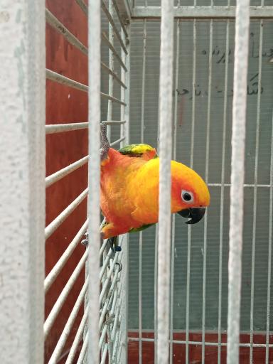 عکس پارک حیات وحش