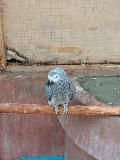 عکس پارک حیات وحش