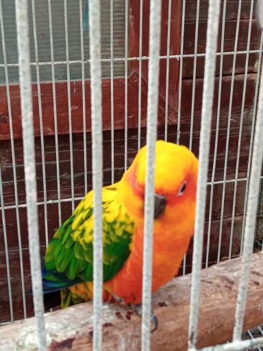 عکس پارک حیات وحش