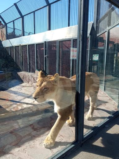 عکس پارک حیات وحش