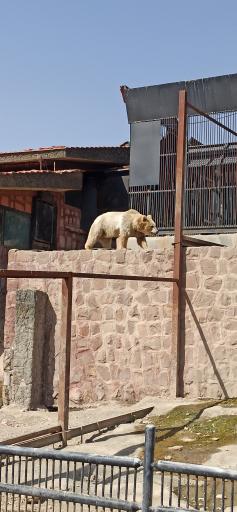 عکس پارک حیات وحش