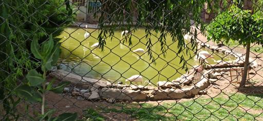 عکس پارک حیات وحش