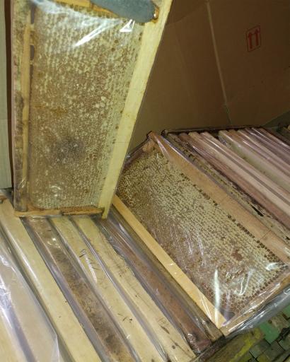 عکس عسل فروشی صددرصد هادی صادقی