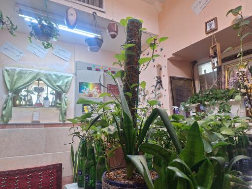 عکس سالن ورزشی شاهد سرافرازان جانباز