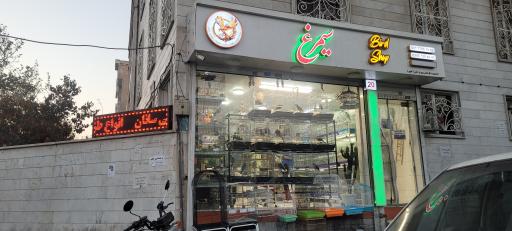 عکس پرنده فروشی سیمرغ