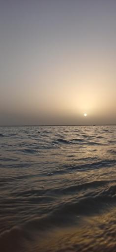 عکس ادیمی