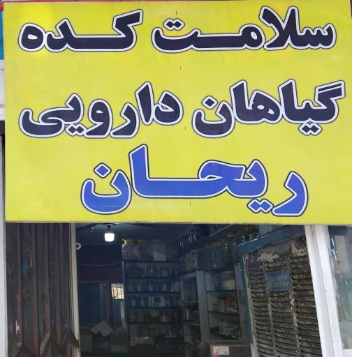 عکس سلامت کده گیاهان دارویی ریحان