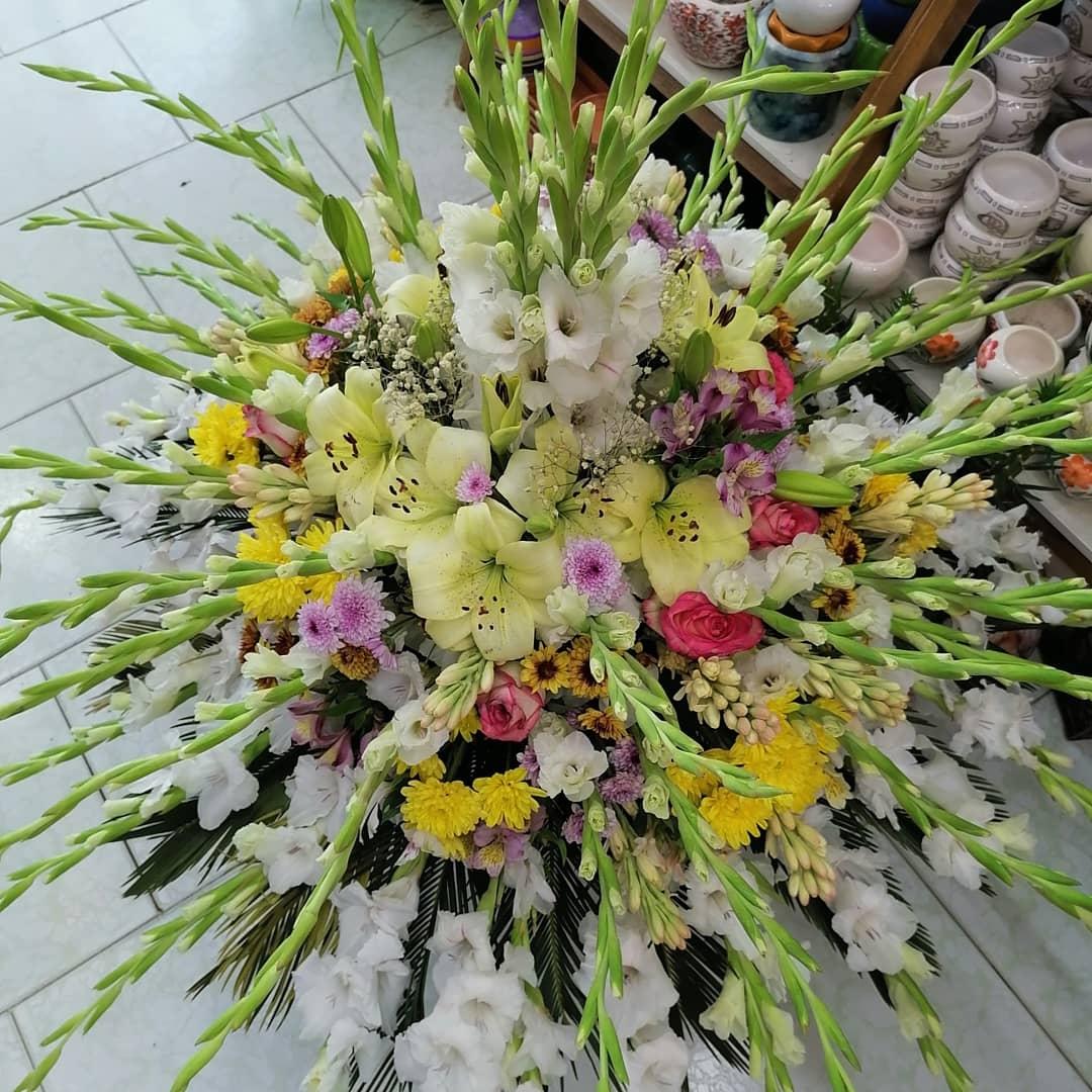 عکس دهکده گل ریحان 