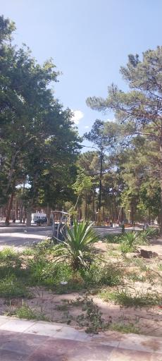 عکس فضای سبز 