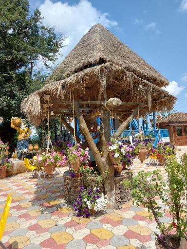 عکس بستنی کلبه