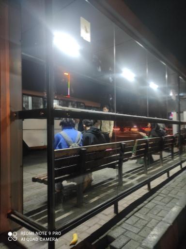 عکس آزادی 15