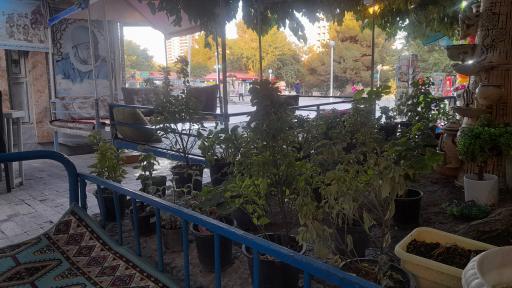 عکس کافه سنتی جهان پهلوان تختی