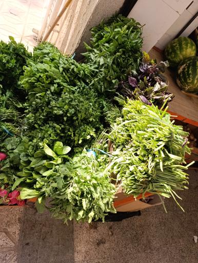 عکس میوه سرای جواد طلا