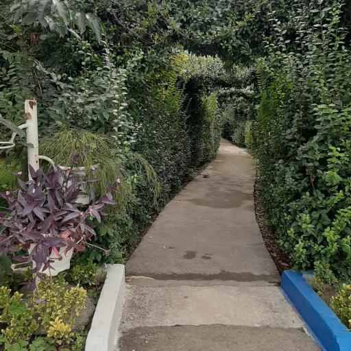 عکس مجتمع تفریحی صها شهر