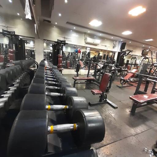 عکس باشگاه بدنسازی همیلا