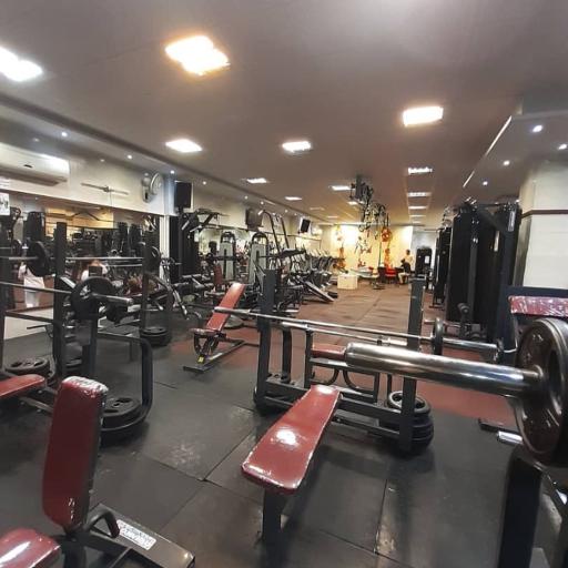 عکس باشگاه بدنسازی همیلا