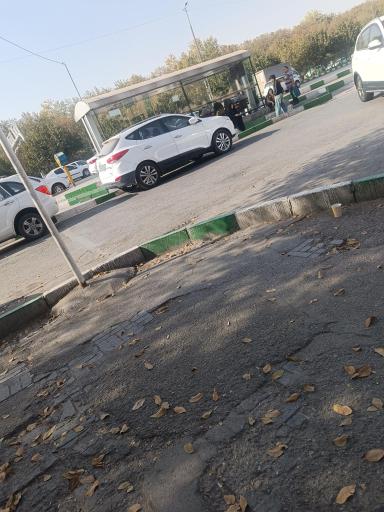 عکس آزادی 15