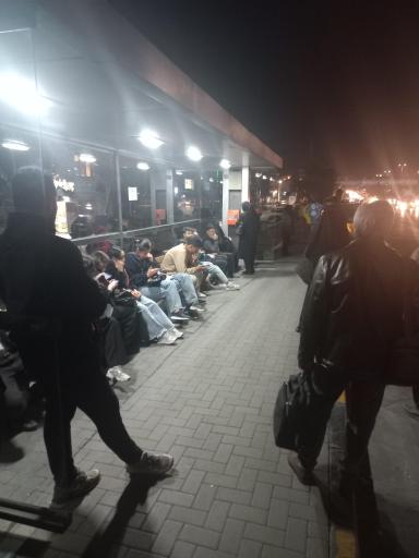 عکس آزادی 15