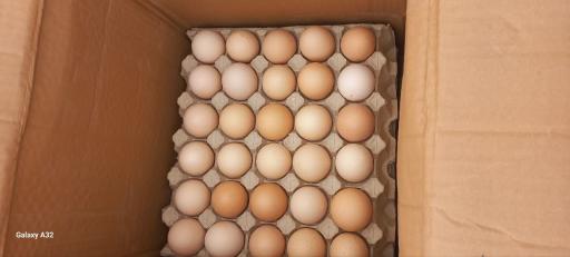 عکس فروشگاه شوینده بهداشتی مهدیار