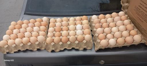 عکس فروشگاه شوینده بهداشتی مهدیار